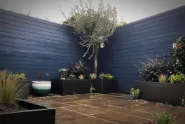Mesquite painting