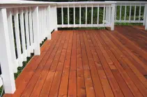 Mesquite painting
