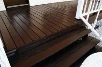 Mesquite painting