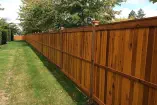 Mesquite painting